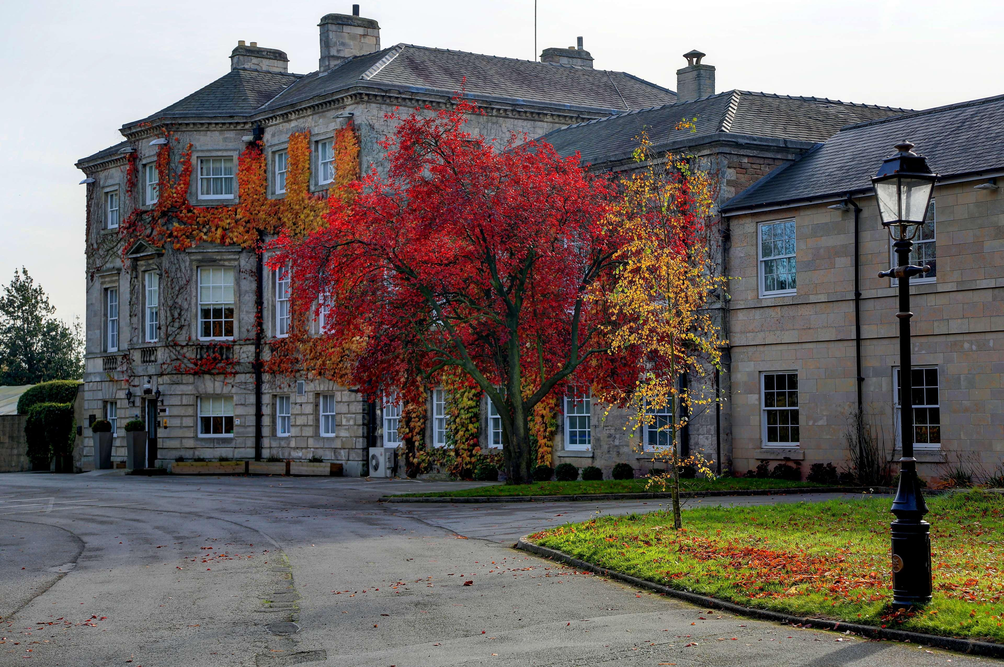 Western Aston Hall 3*